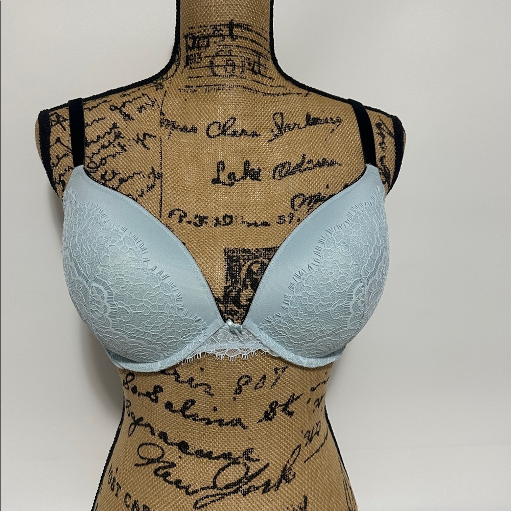 VICTORIA'S SECRET DREAM ANGELS FLORAL LACE PUSH UP BRA 36 DD POWDER BLUE